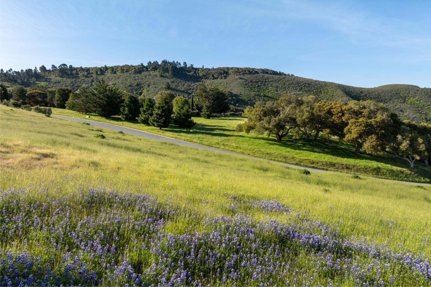 Detail Gallery Image 7 of 13 For 25825 via Malpaso (Lot 68), Carmel,  CA 93923 - – Beds | – Baths