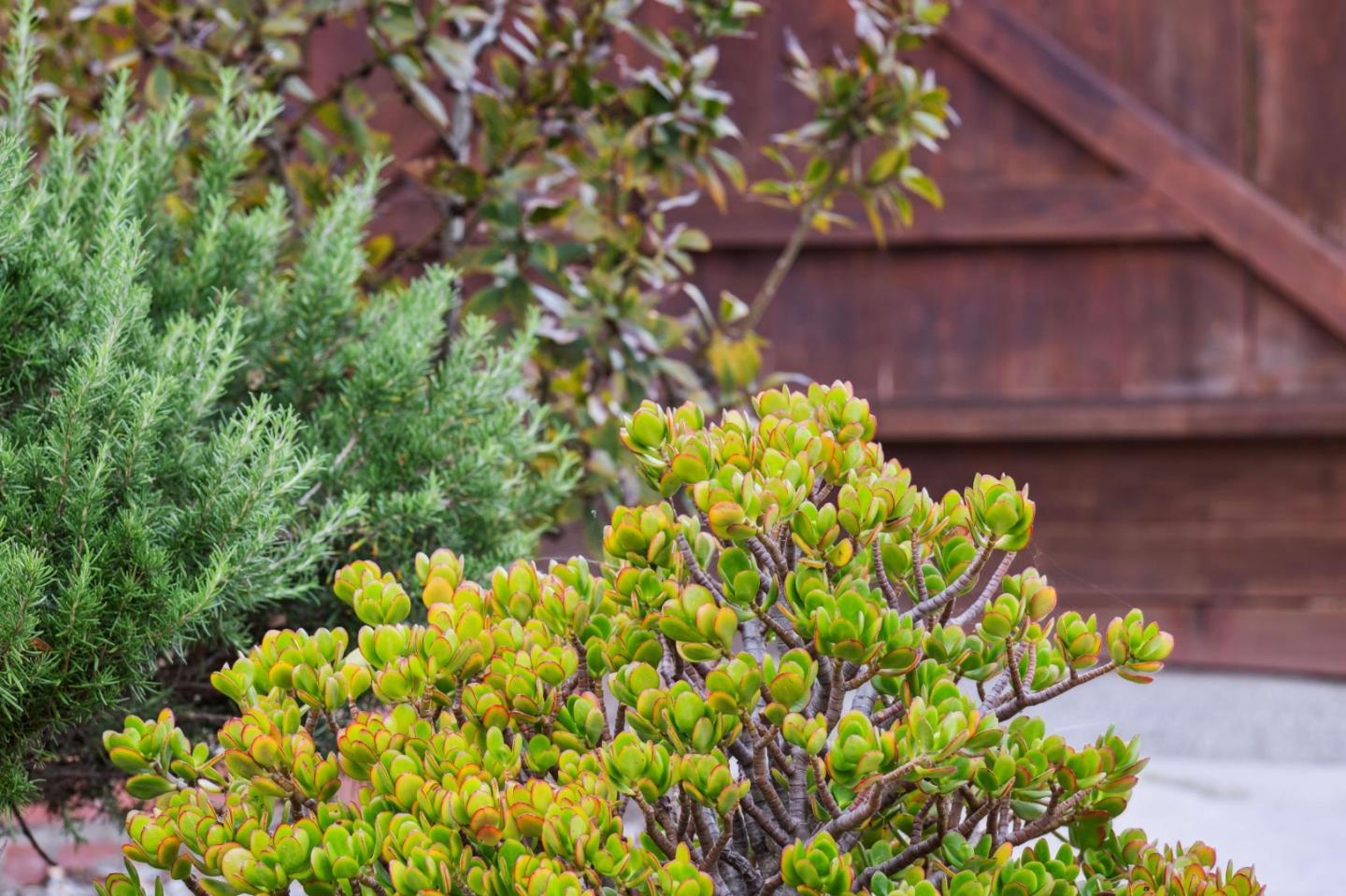 Detail Gallery Image 75 of 81 For 252 Soledad Dr, Monterey,  CA 93940 - 4 Beds | 2/1 Baths