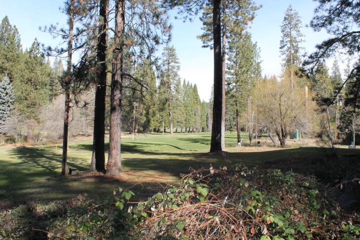 Detail Gallery Image 39 of 46 For 18861 Lookout Dr, Twain Harte,  CA 95383 - 3 Beds | 3 Baths