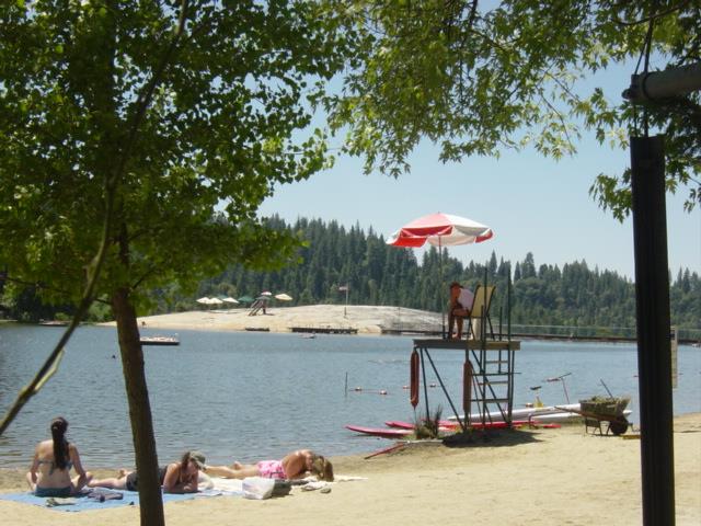 Detail Gallery Image 42 of 46 For 18861 Lookout Dr, Twain Harte,  CA 95383 - 3 Beds | 3 Baths