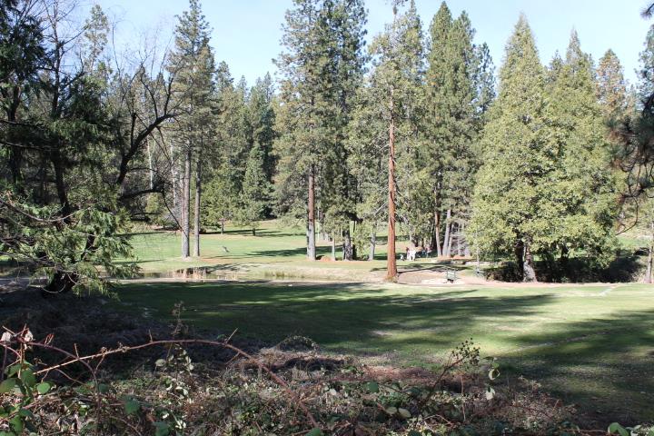 Detail Gallery Image 44 of 46 For 18861 Lookout Dr, Twain Harte,  CA 95383 - 3 Beds | 3 Baths