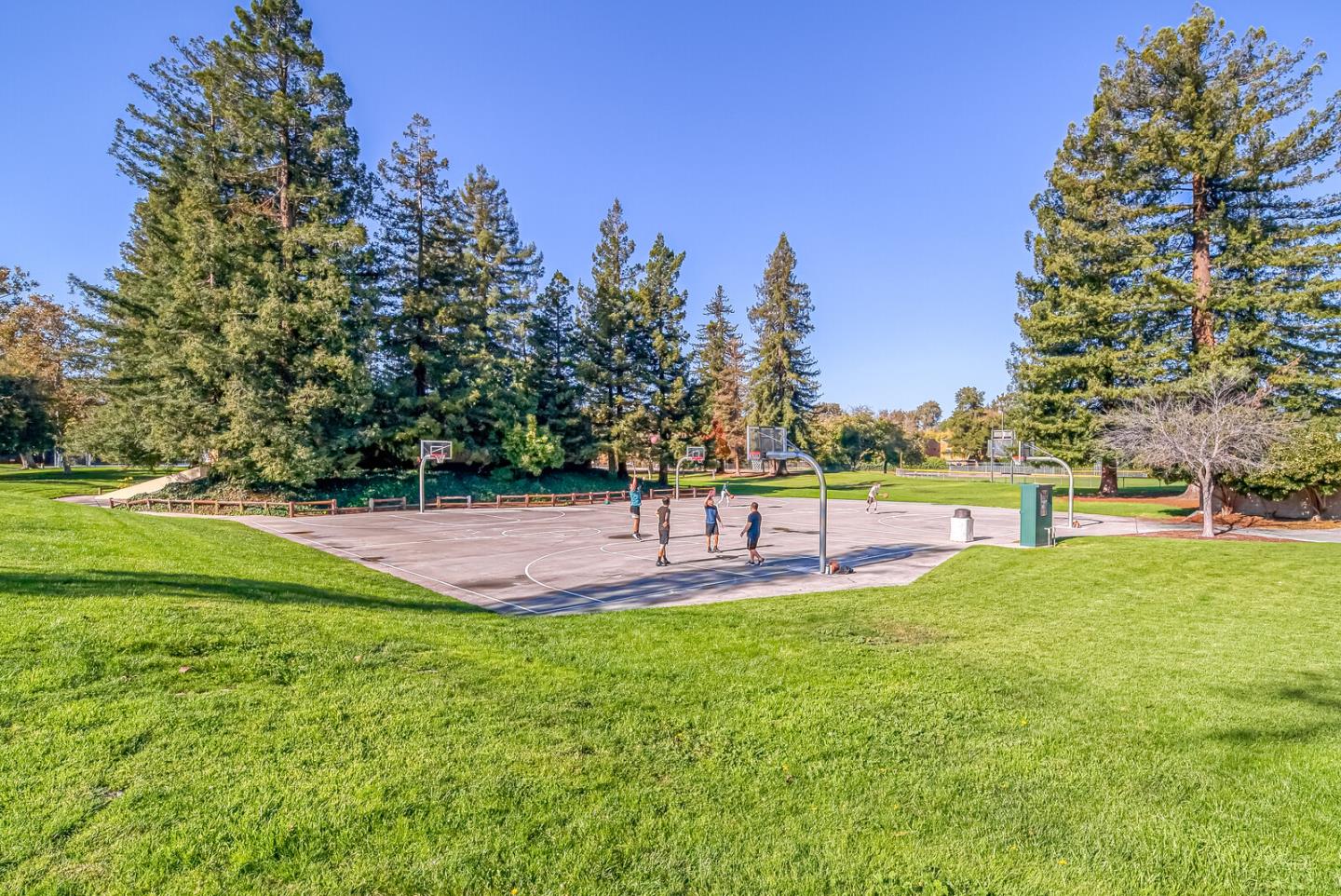 Detail Gallery Image 46 of 53 For 1101 Pomeroy Ave, Santa Clara,  CA 95051 - 4 Beds | 2/1 Baths