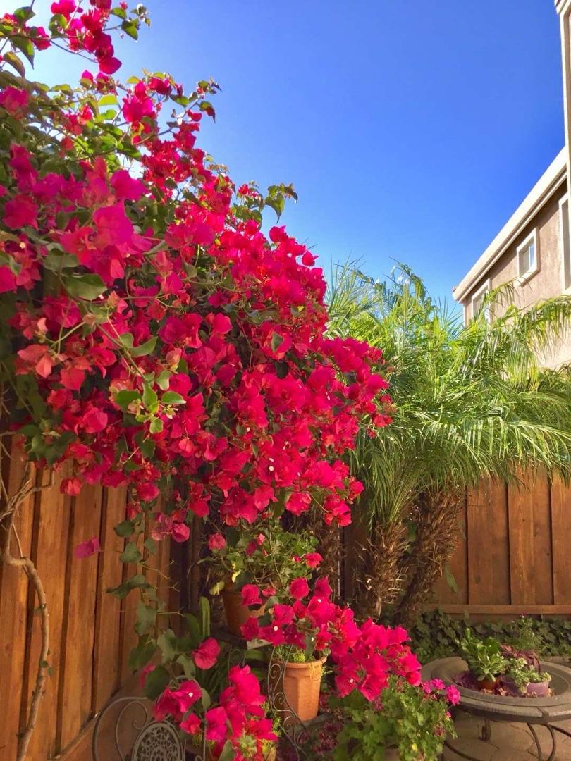 Detail Gallery Image 19 of 23 For 2158 Capitol Park Ct, San Jose,  CA 95132 - 4 Beds | 2/1 Baths