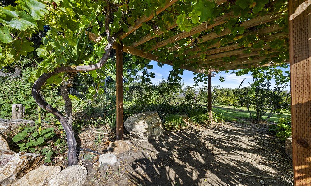 547 Mission Vineyard Road, San Juan Bautista, CA, 95045