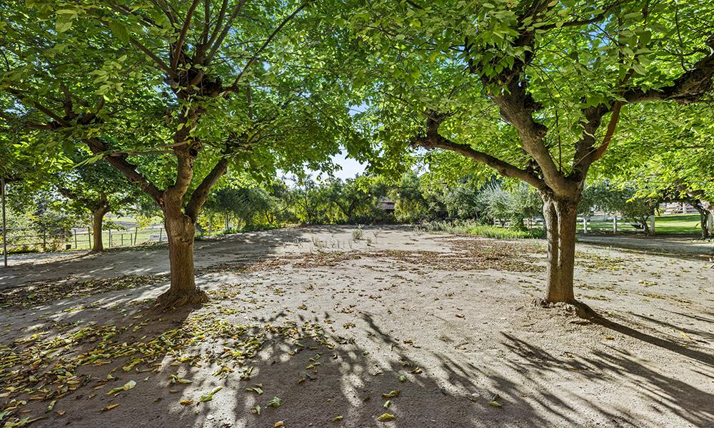 Detail Gallery Image 7 of 26 For 547 Mission Vineyard Rd, San Juan Bautista,  CA 95045 - 2 Beds | 2 Baths