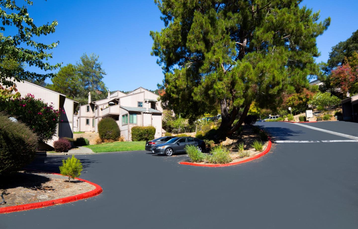 Detail Gallery Image 2 of 20 For 1 Clay Ct, Novato,  CA 94949 - – Beds | – Baths