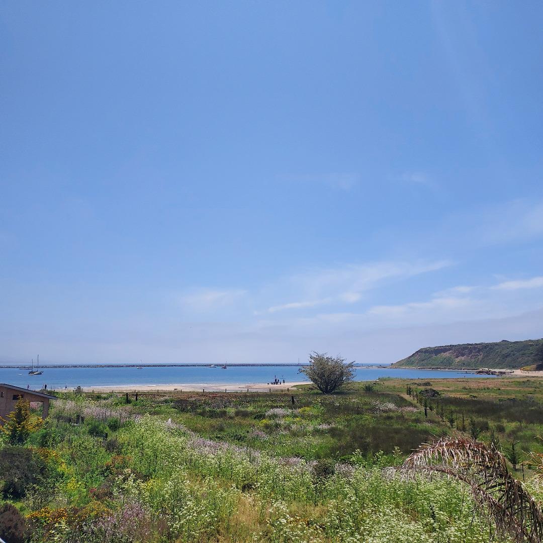 Detail Gallery Image 9 of 10 For 199 W Point Ave, Half Moon Bay,  CA 94019 - – Beds | – Baths