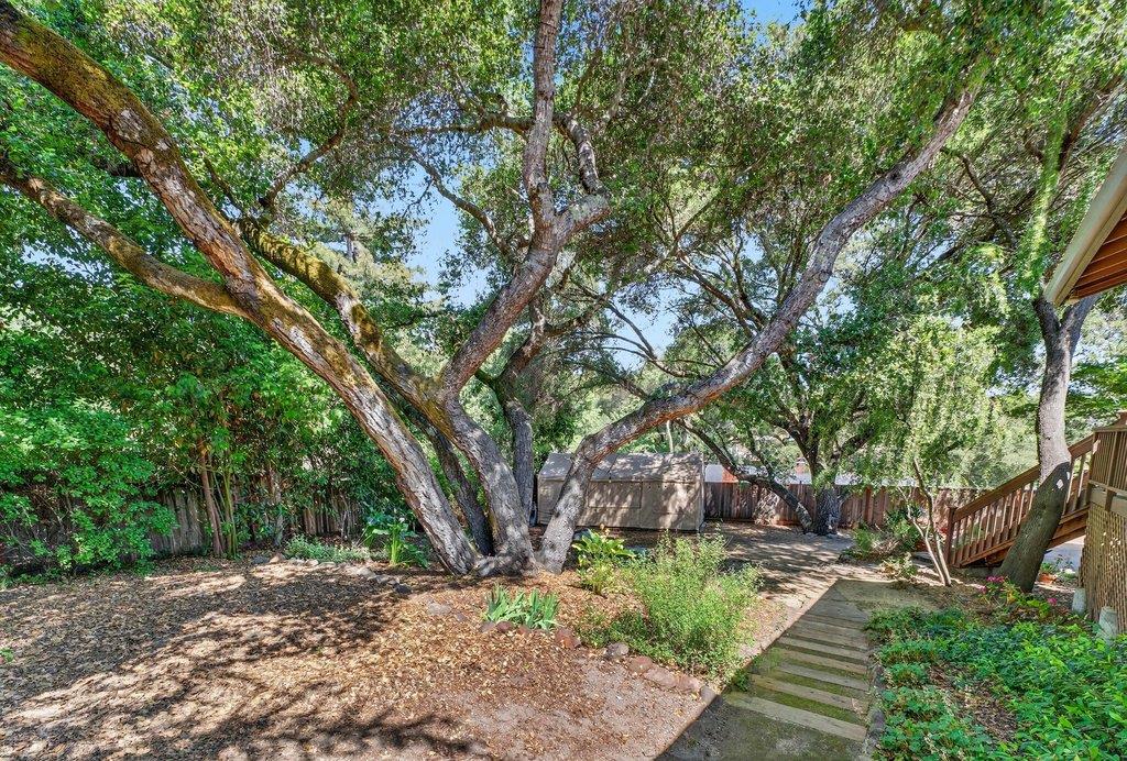 Detail Gallery Image 62 of 70 For 135 Indian Springs Dr, Ben Lomond,  CA 95005 - 3 Beds | 2/1 Baths