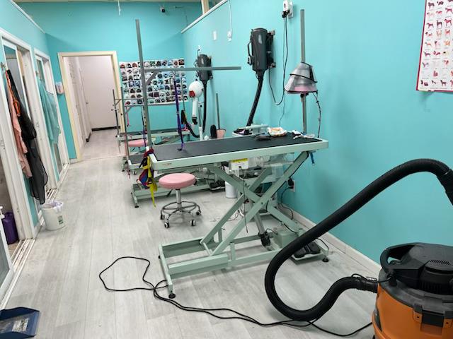 Detail Gallery Image 7 of 7 For 7209 Regional St, Dublin,  CA 94568 - – Beds | – Baths