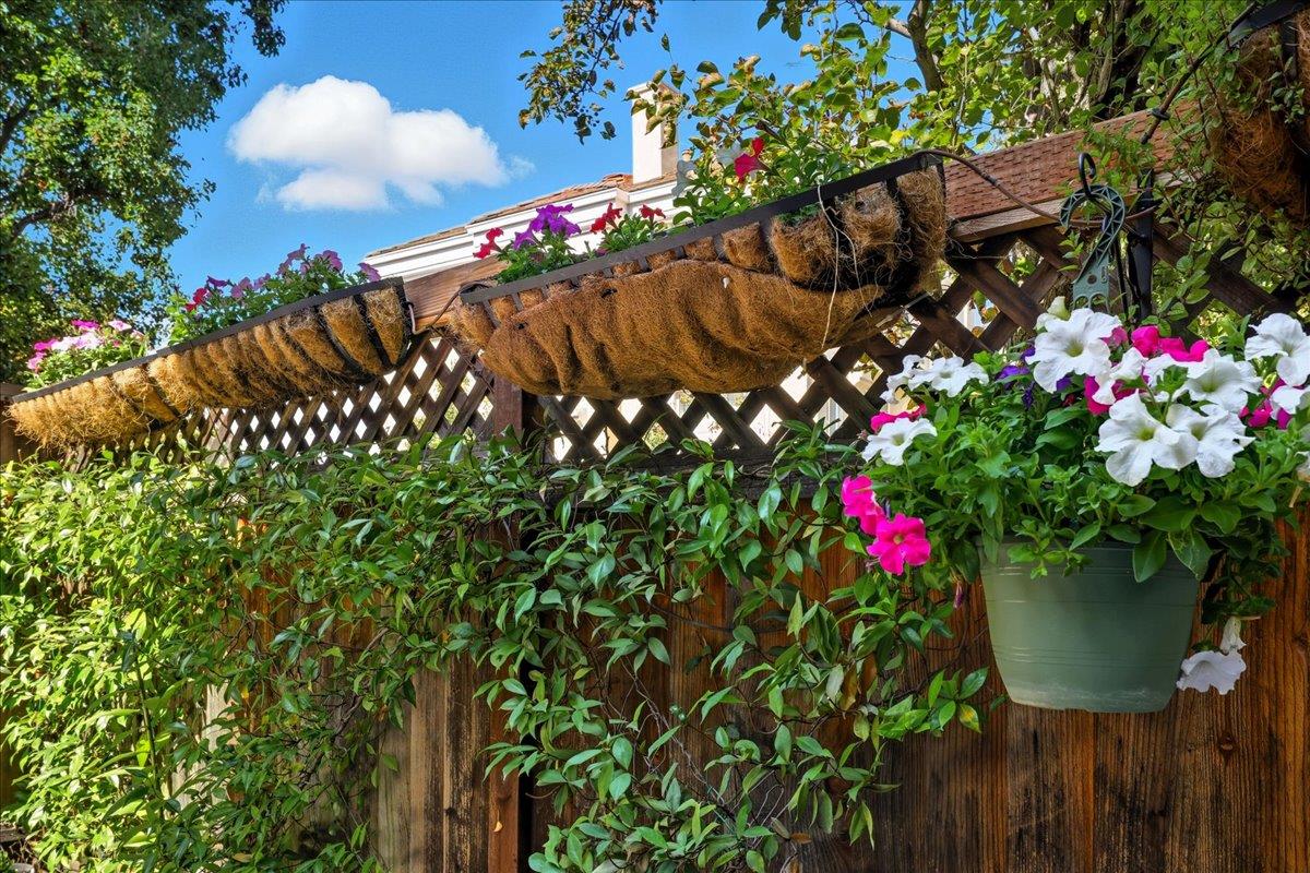 Detail Gallery Image 36 of 45 For 118 Magnolia Ln, Mountain View,  CA 94043 - 3 Beds | 3 Baths