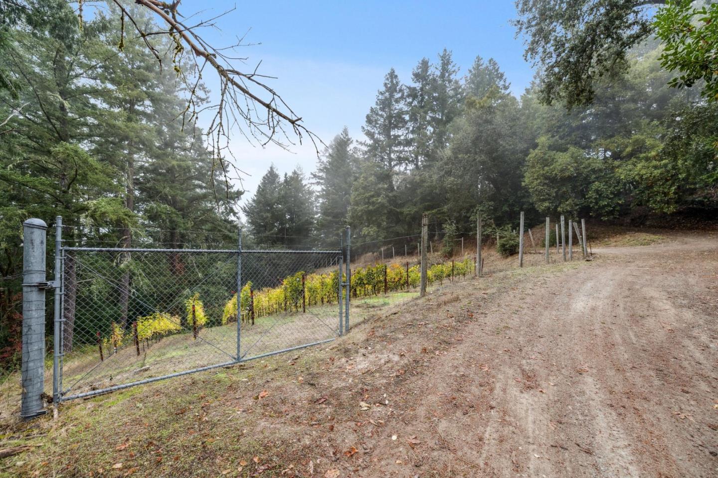 Detail Gallery Image 10 of 27 For 19089 Skyline Blvd, Los Gatos,  CA 95033 - – Beds | – Baths