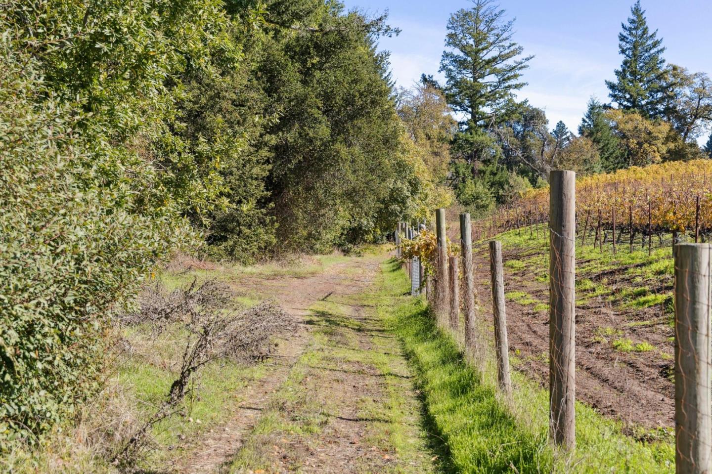 Detail Gallery Image 11 of 27 For 19089 Skyline Blvd, Los Gatos,  CA 95033 - – Beds | – Baths