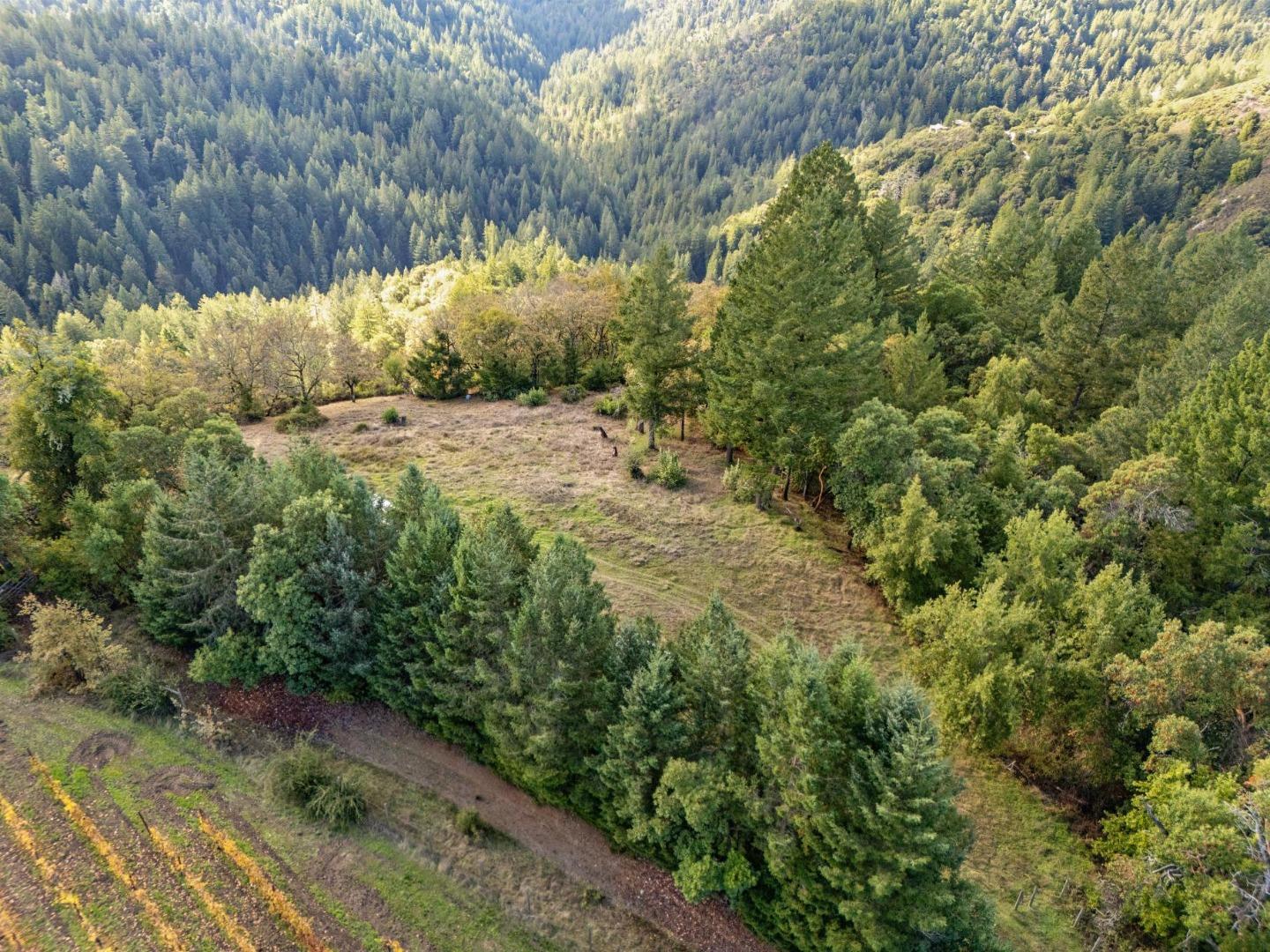 Detail Gallery Image 23 of 27 For 19089 Skyline Blvd, Los Gatos,  CA 95033 - – Beds | – Baths