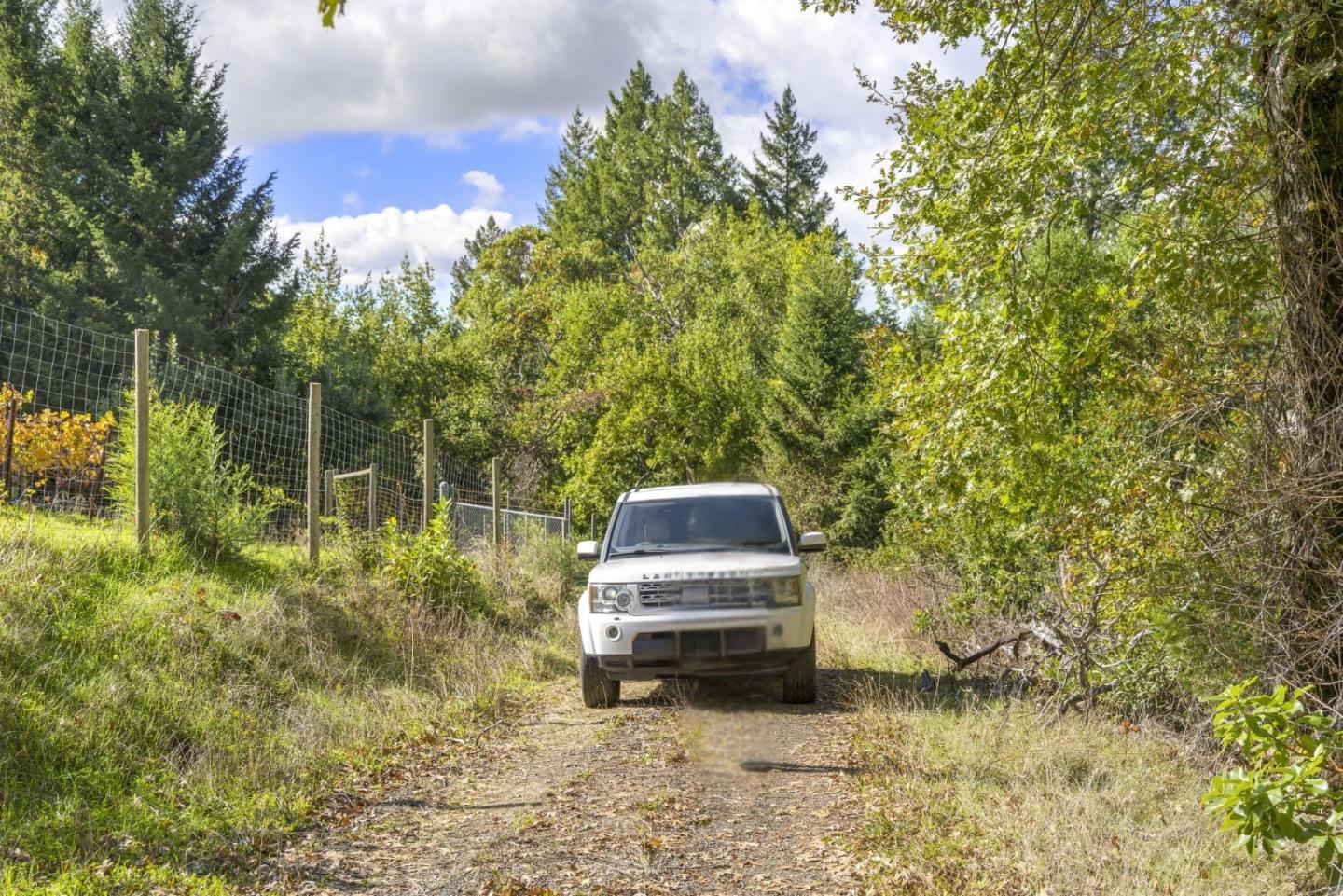 Detail Gallery Image 27 of 27 For 19089 Skyline Blvd, Los Gatos,  CA 95033 - – Beds | – Baths