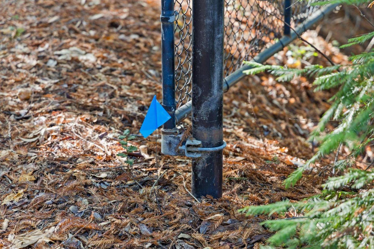 Detail Gallery Image 4 of 27 For 19089 Skyline Blvd, Los Gatos,  CA 95033 - – Beds | – Baths