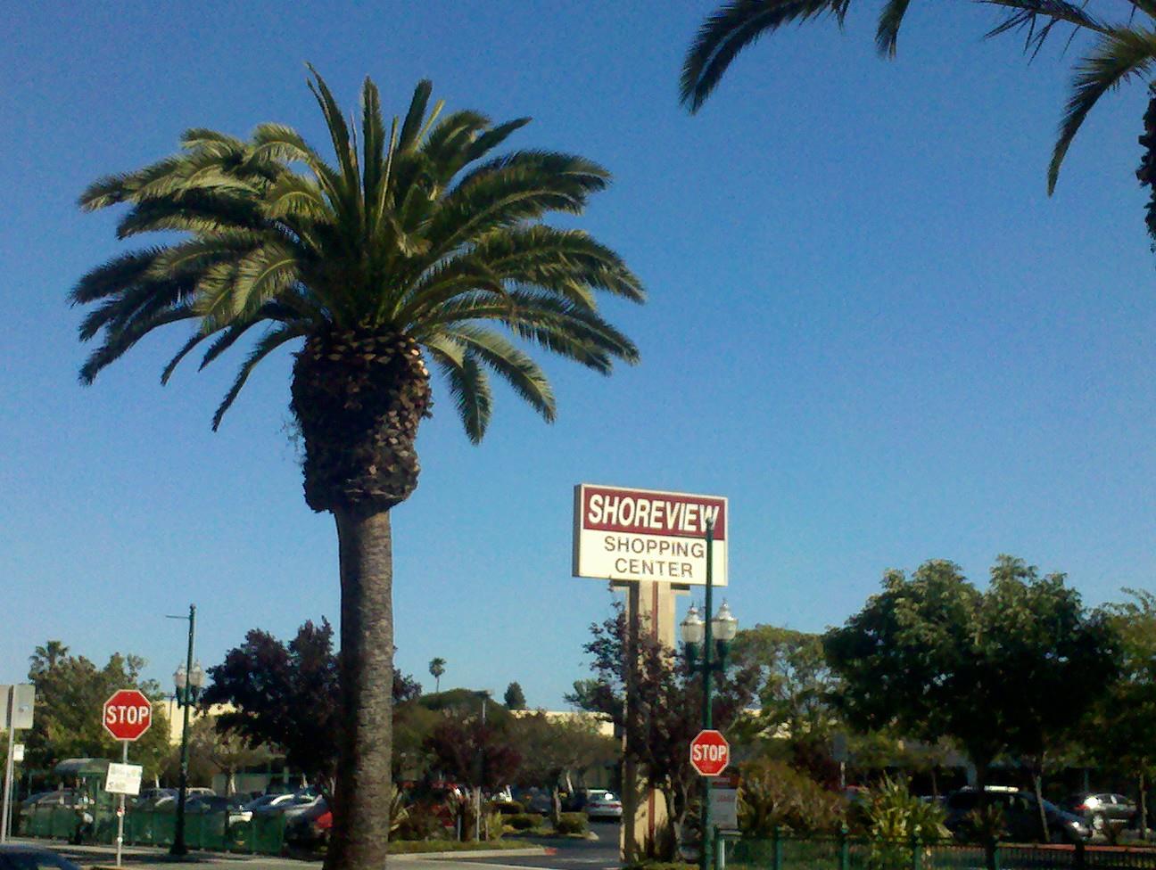 Detail Gallery Image 21 of 21 For 1225 Beacon Ave, San Mateo,  CA 94401 - 2 Beds | 1 Baths