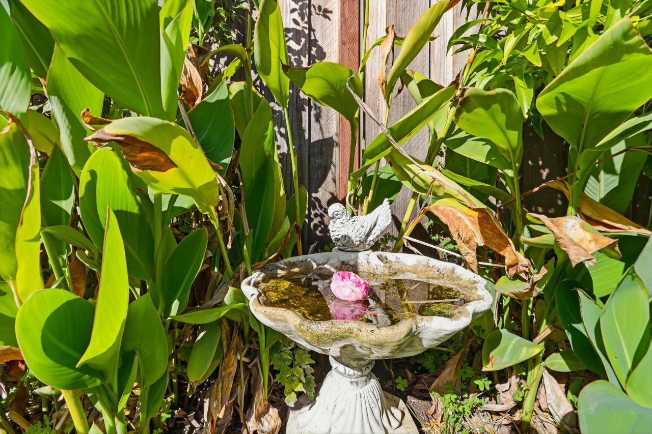 Detail Gallery Image 32 of 35 For 516 Middlesex Rd, Belmont,  CA 94002 - 3 Beds | 1 Baths