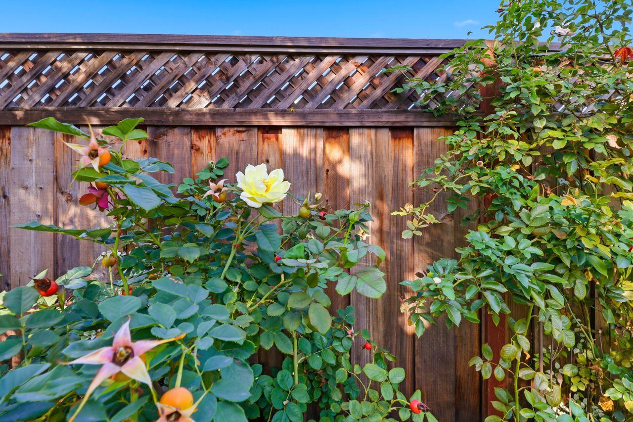 Detail Gallery Image 34 of 35 For 516 Middlesex Rd, Belmont,  CA 94002 - 3 Beds | 1 Baths