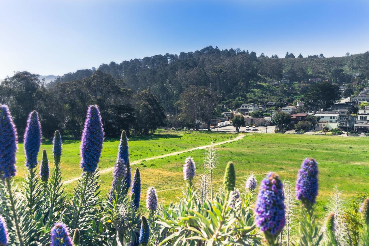 Detail Gallery Image 51 of 68 For 239 San Pedro Ave, Pacifica,  CA 94044 - 4 Beds | 2/1 Baths