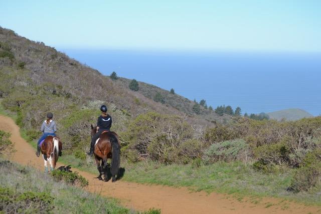 Detail Gallery Image 58 of 68 For 239 San Pedro Ave, Pacifica,  CA 94044 - 4 Beds | 2/1 Baths
