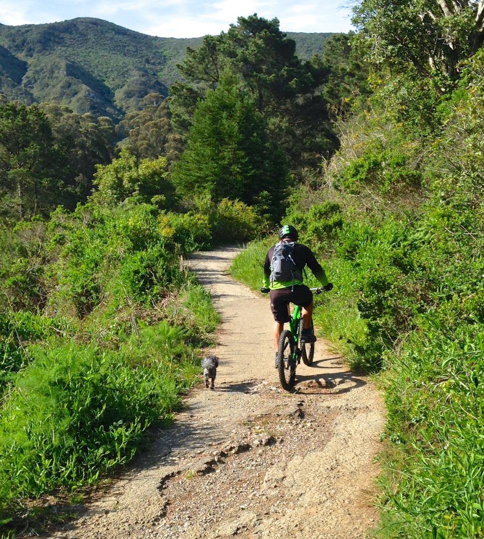 Detail Gallery Image 59 of 68 For 239 San Pedro Ave, Pacifica,  CA 94044 - 4 Beds | 2/1 Baths