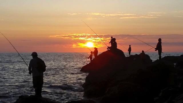Detail Gallery Image 60 of 68 For 239 San Pedro Ave, Pacifica,  CA 94044 - 4 Beds | 2/1 Baths