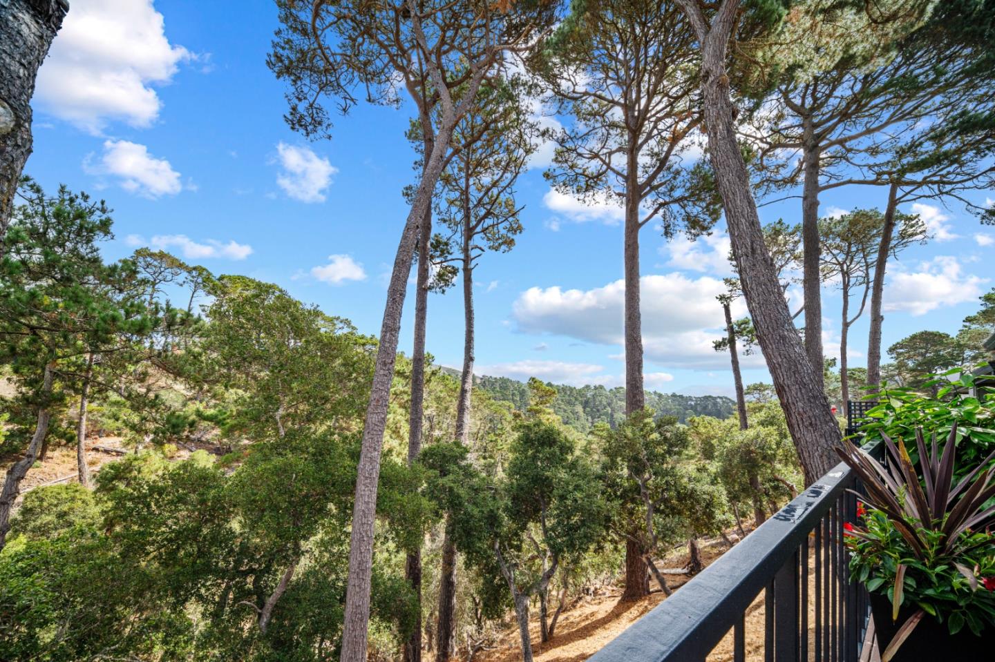 Detail Gallery Image 17 of 51 For 238 Del Mesa Carmel, Carmel,  CA 93923 - 2 Beds | 2 Baths