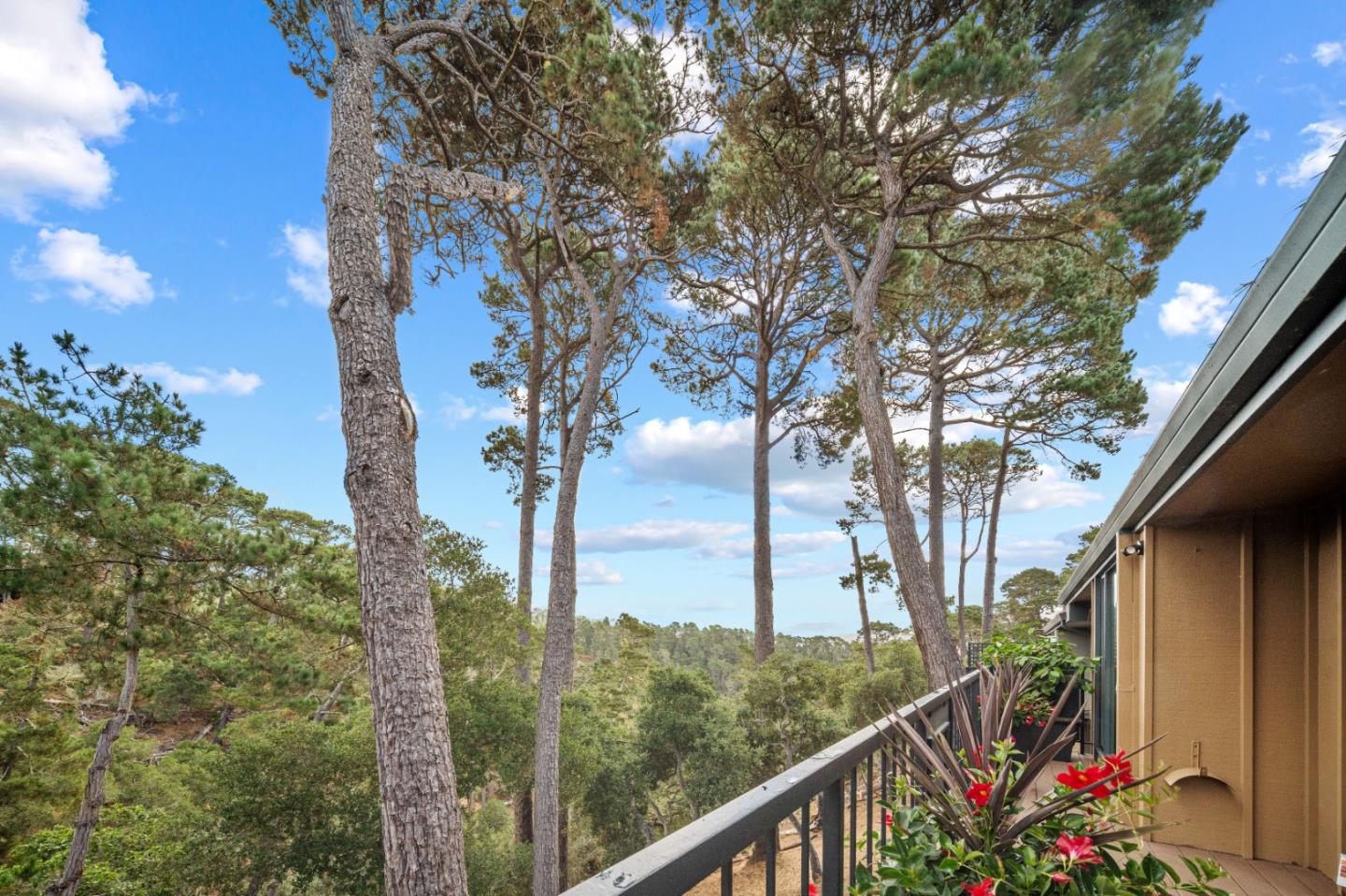 Detail Gallery Image 18 of 51 For 238 Del Mesa Carmel, Carmel,  CA 93923 - 2 Beds | 2 Baths