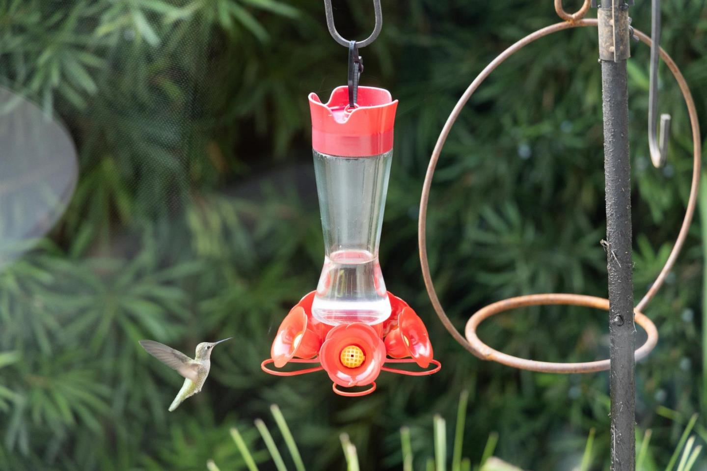 Detail Gallery Image 67 of 87 For 1238 Wooded Hills Dr, San Jose,  CA 95120 - 4 Beds | 2/1 Baths