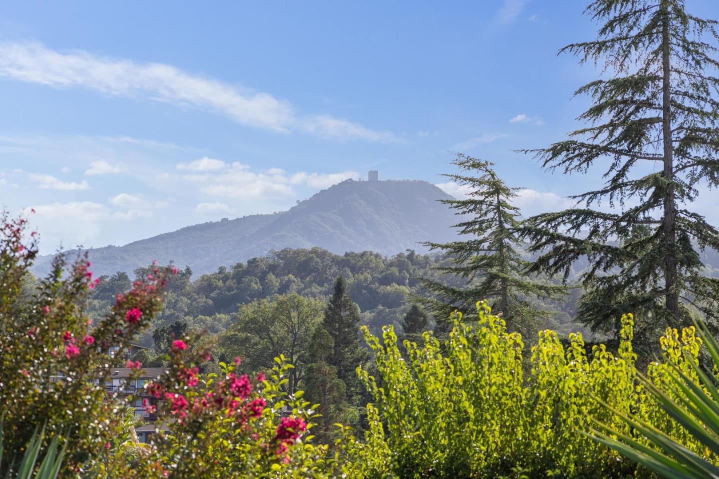 Detail Gallery Image 72 of 87 For 1238 Wooded Hills Dr, San Jose,  CA 95120 - 4 Beds | 2/1 Baths