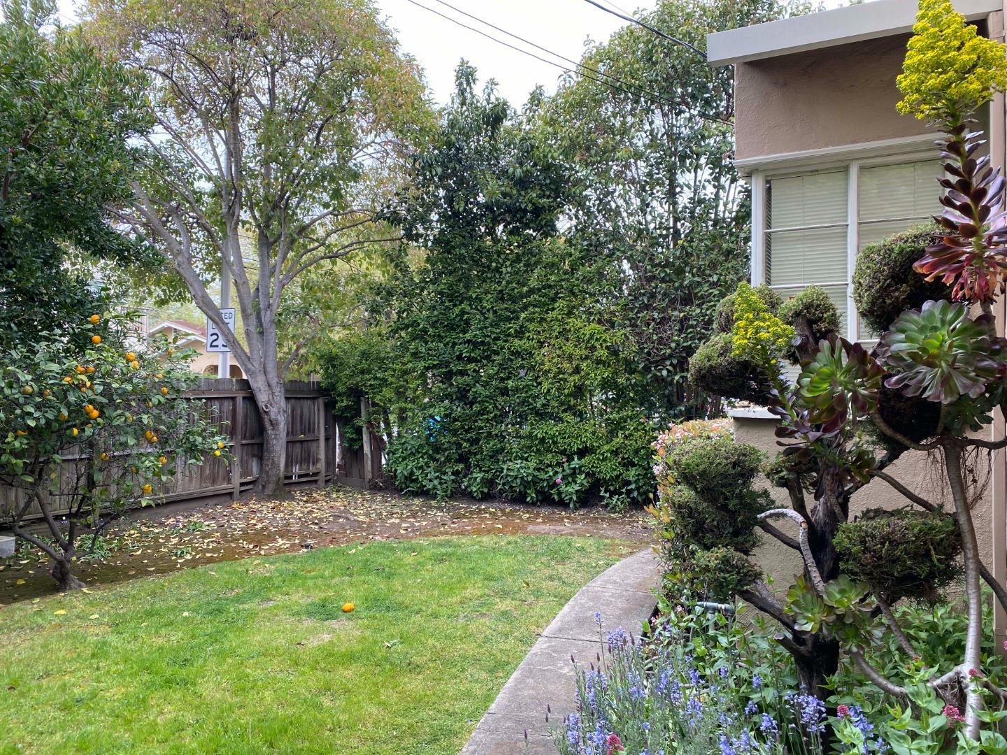 Detail Gallery Image 16 of 21 For 305 Catalpa St, San Mateo,  CA 94401 - – Beds | – Baths