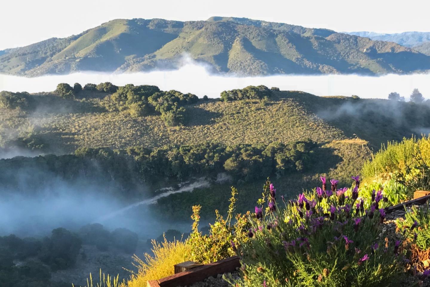 Detail Gallery Image 27 of 34 For 25530 via Paloma, Carmel,  CA 93923 - 3 Beds | 3 Baths