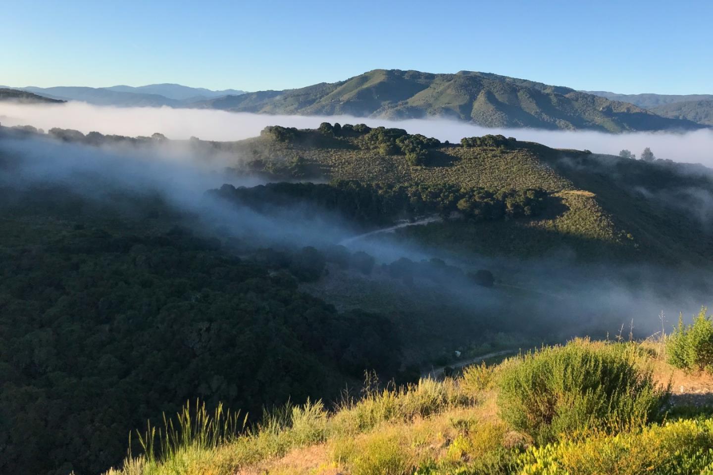 Detail Gallery Image 28 of 34 For 25530 via Paloma, Carmel,  CA 93923 - 3 Beds | 3 Baths