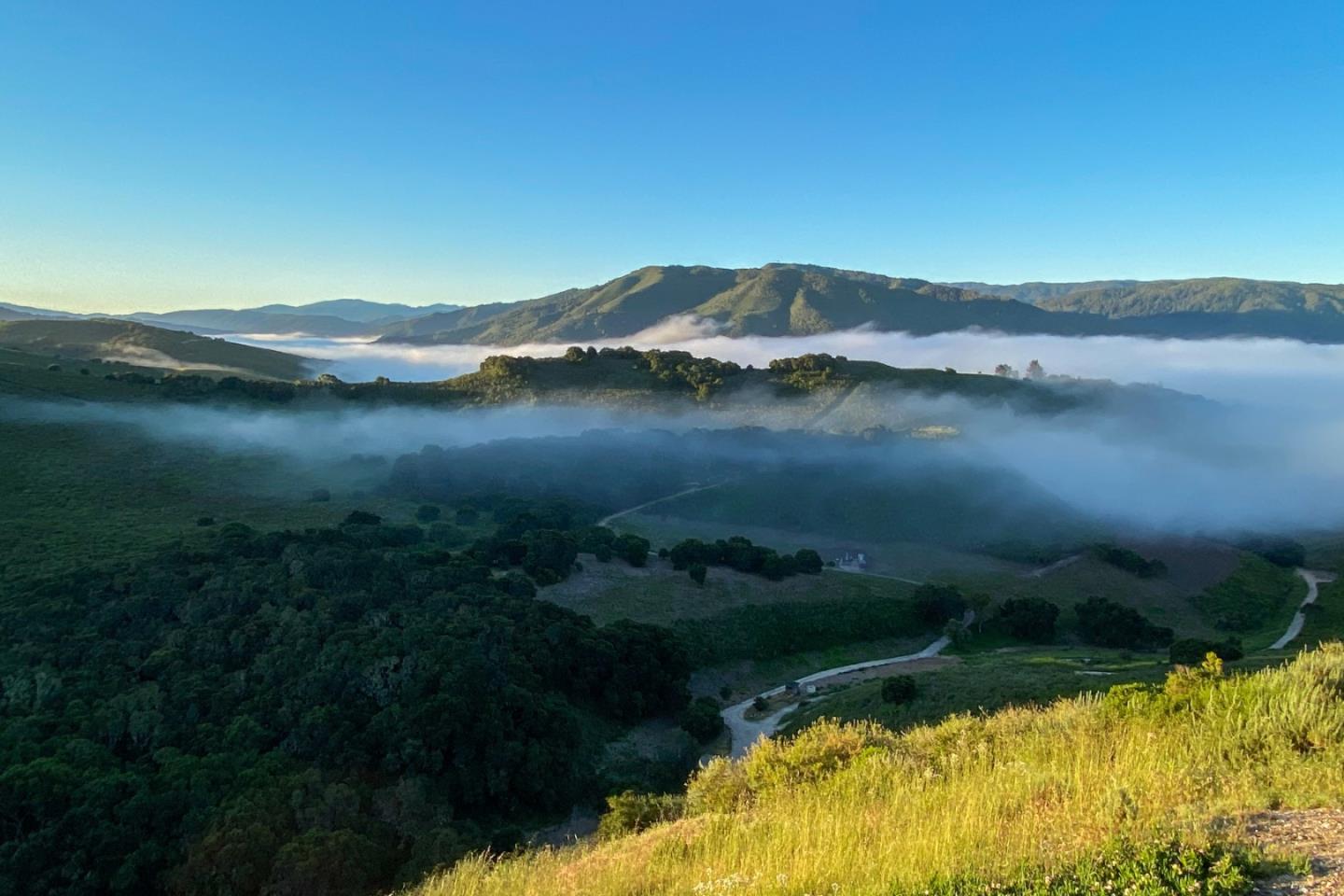 Detail Gallery Image 30 of 34 For 25530 via Paloma, Carmel,  CA 93923 - 3 Beds | 3 Baths