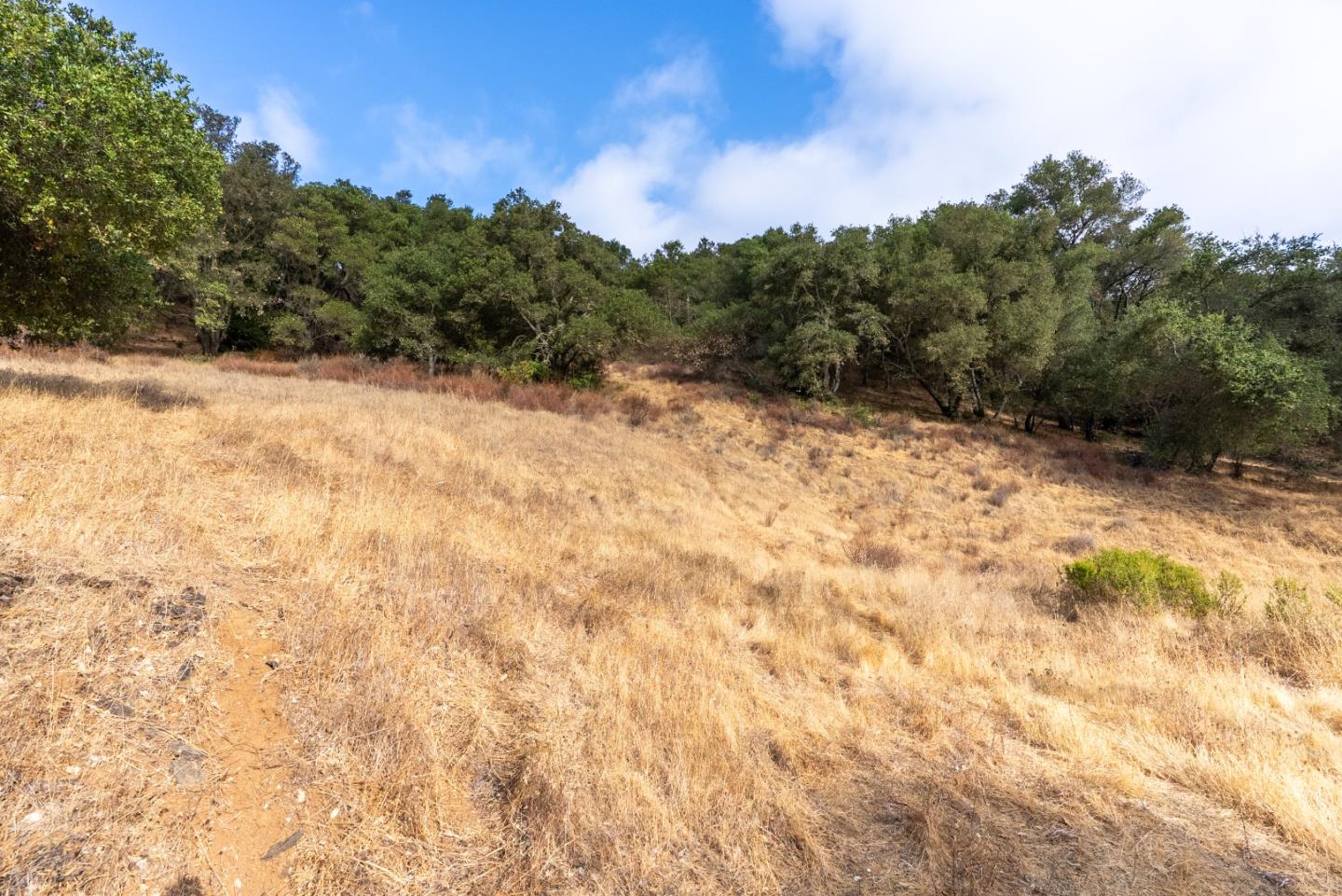 Detail Gallery Image 12 of 37 For 0000 Wagner Rd, Los Gatos,  CA 95032 - – Beds | – Baths