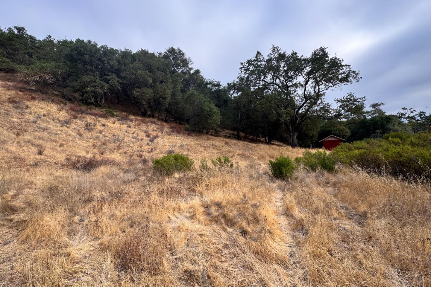 Detail Gallery Image 14 of 37 For 0000 Wagner Rd, Los Gatos,  CA 95032 - – Beds | – Baths