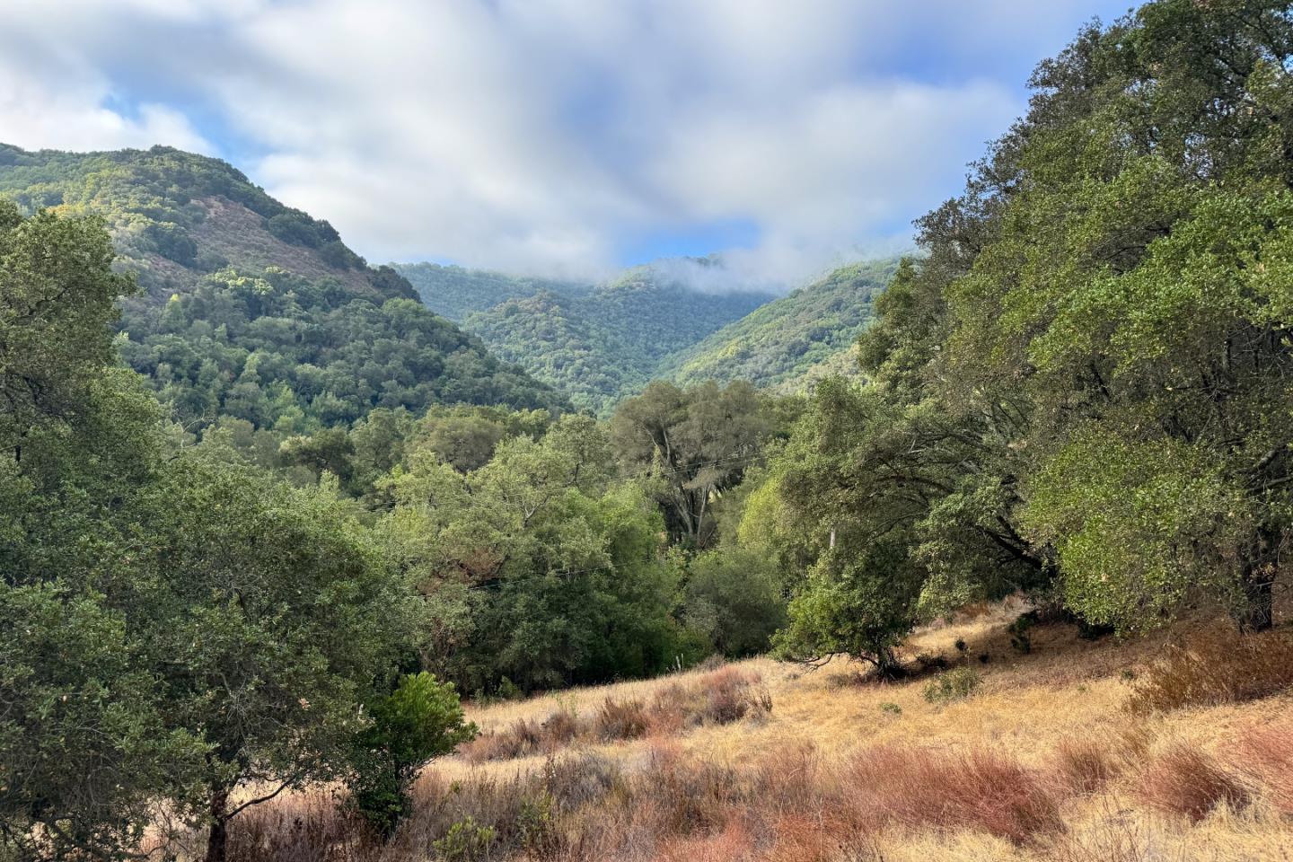 Detail Gallery Image 16 of 37 For 0000 Wagner Rd, Los Gatos,  CA 95032 - – Beds | – Baths