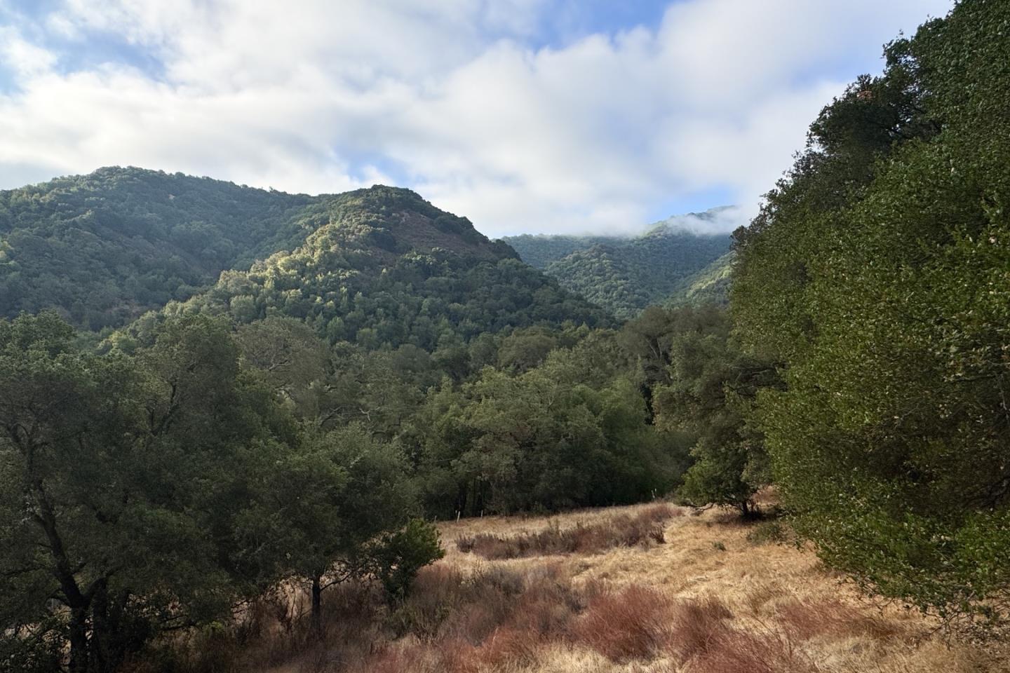 Detail Gallery Image 18 of 37 For 0000 Wagner Rd, Los Gatos,  CA 95032 - – Beds | – Baths