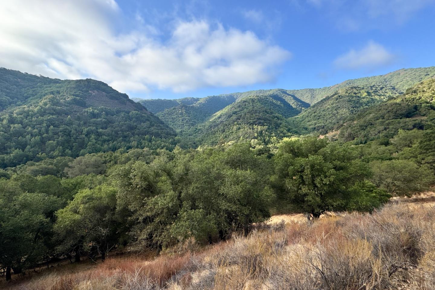 Detail Gallery Image 19 of 37 For 0000 Wagner Rd, Los Gatos,  CA 95032 - – Beds | – Baths