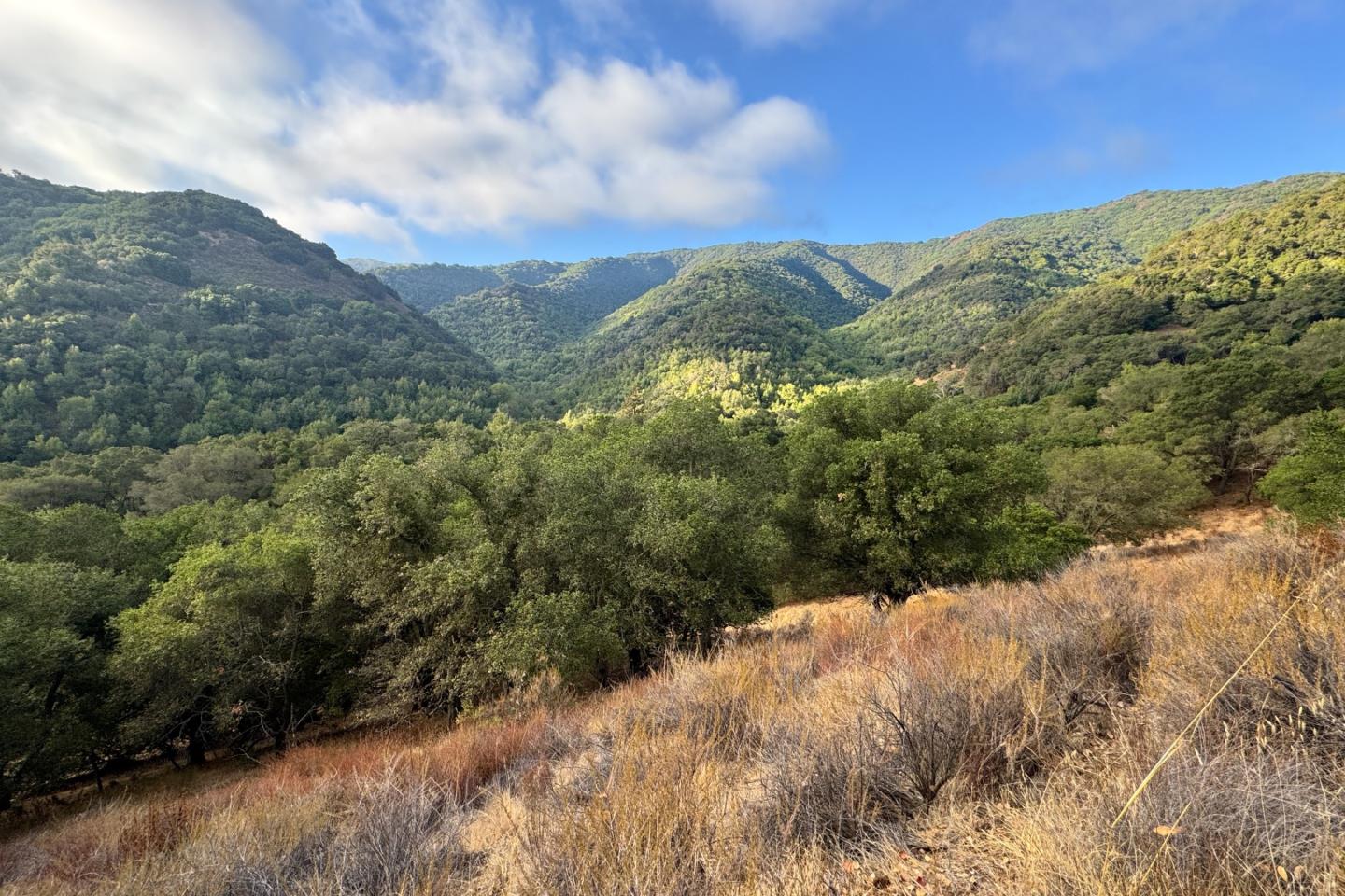 Detail Gallery Image 20 of 37 For 0000 Wagner Rd, Los Gatos,  CA 95032 - – Beds | – Baths