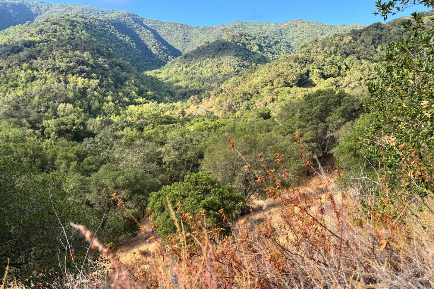 Detail Gallery Image 21 of 37 For 0000 Wagner Rd, Los Gatos,  CA 95032 - – Beds | – Baths