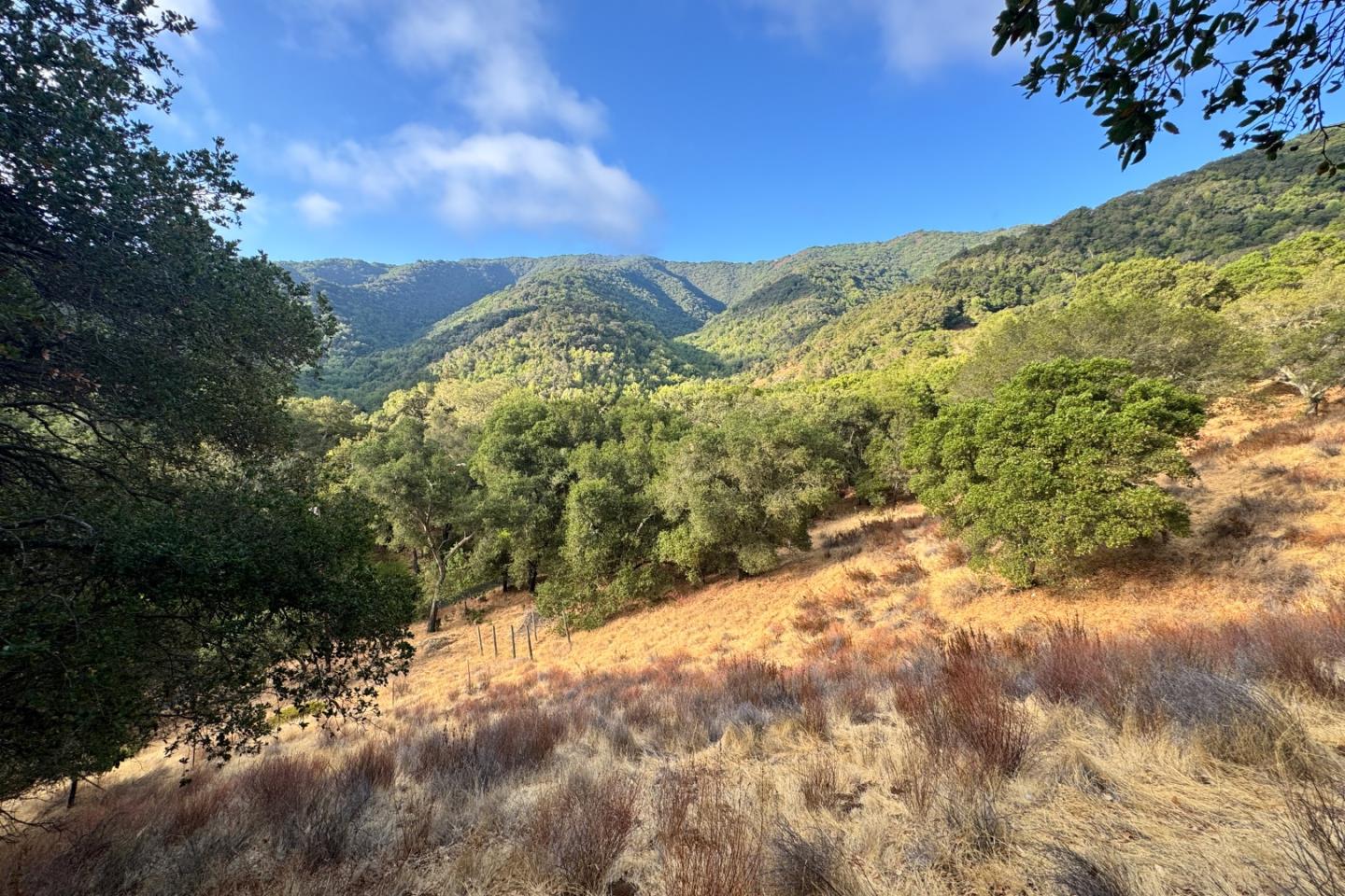 Detail Gallery Image 22 of 37 For 0000 Wagner Rd, Los Gatos,  CA 95032 - – Beds | – Baths