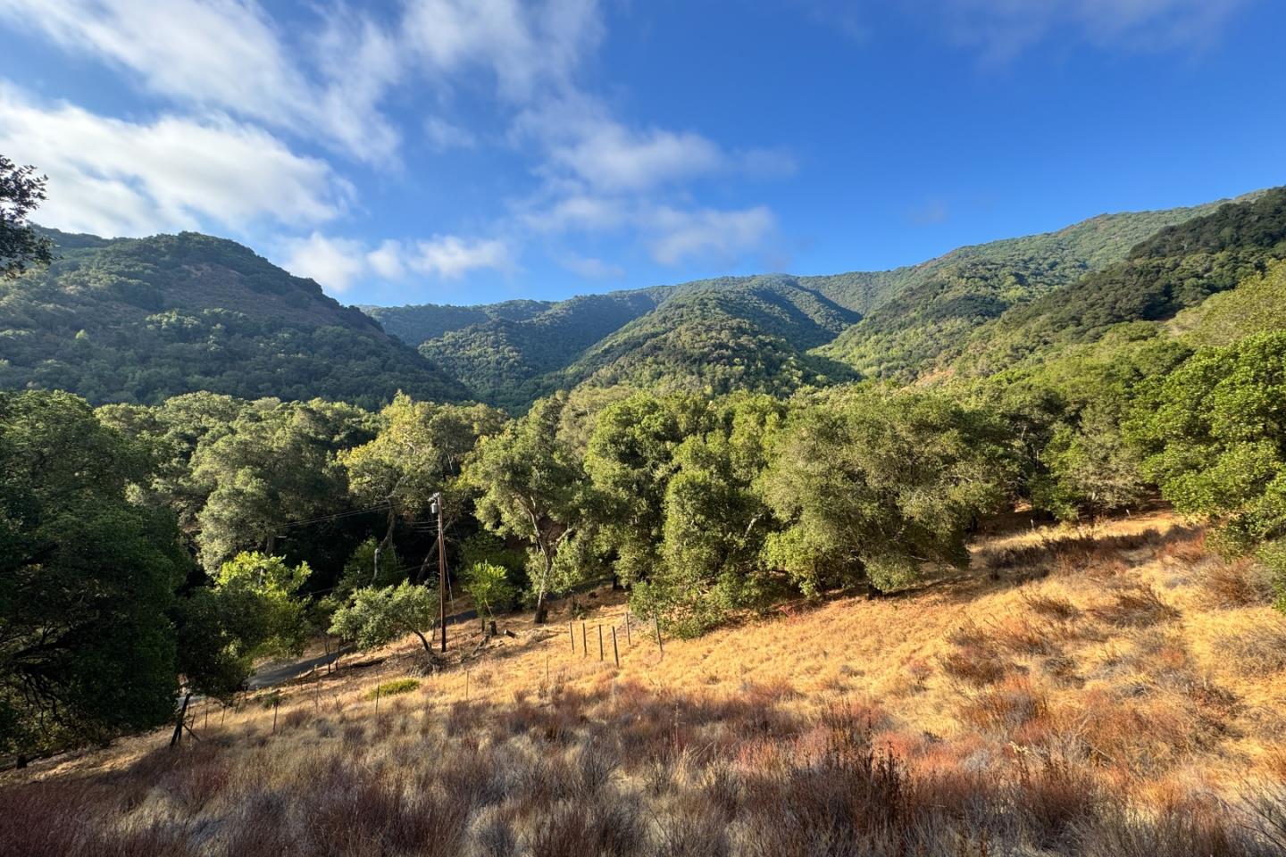 Detail Gallery Image 23 of 37 For 0000 Wagner Rd, Los Gatos,  CA 95032 - – Beds | – Baths