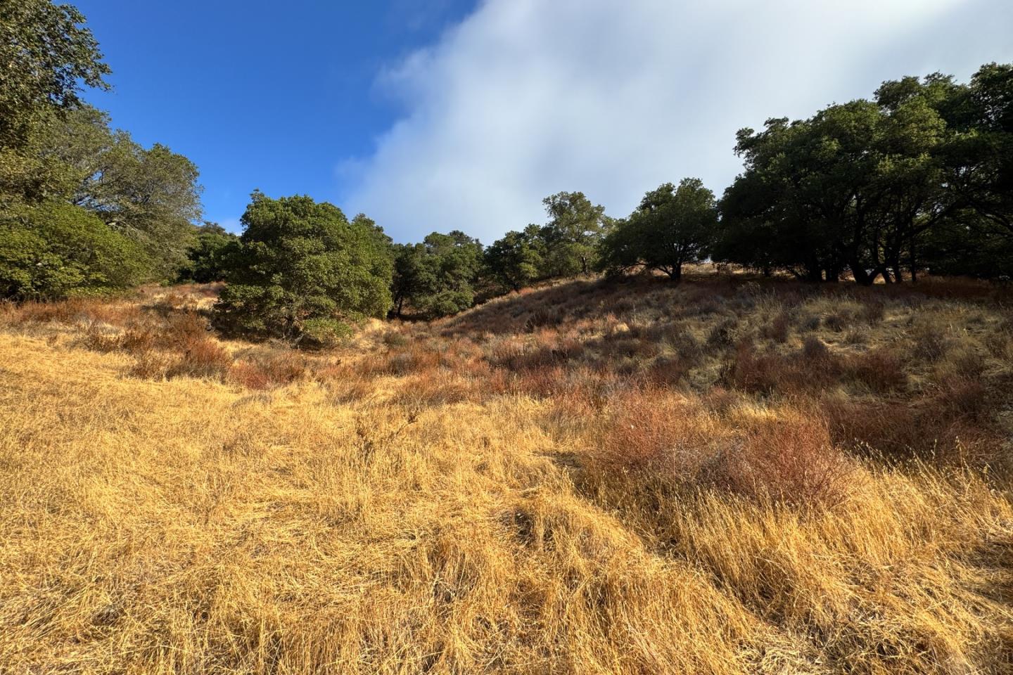 Detail Gallery Image 25 of 37 For 0000 Wagner Rd, Los Gatos,  CA 95032 - – Beds | – Baths