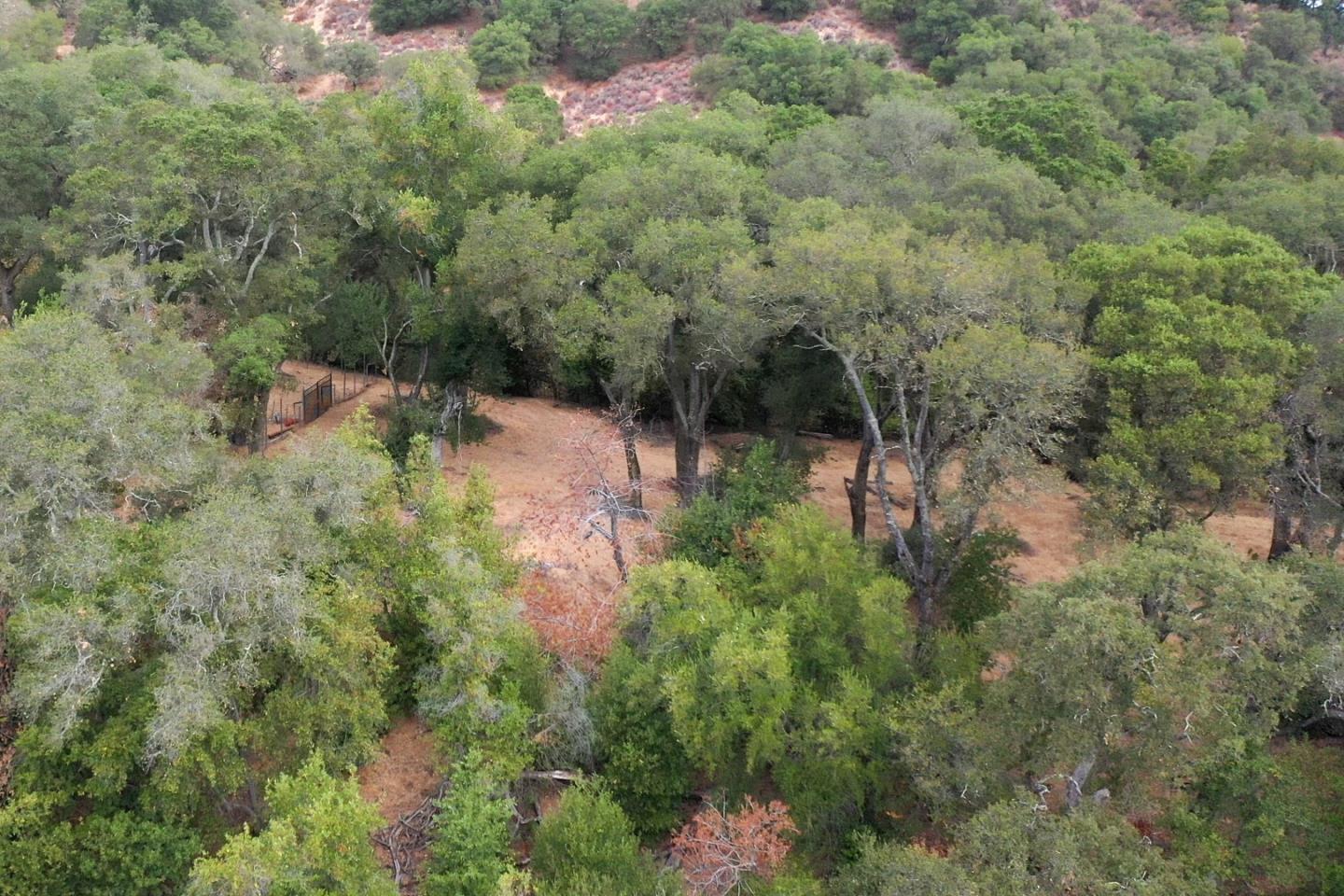 Detail Gallery Image 26 of 37 For 0000 Wagner Rd, Los Gatos,  CA 95032 - – Beds | – Baths