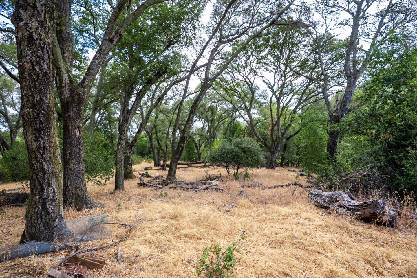 Detail Gallery Image 28 of 37 For 0000 Wagner Rd, Los Gatos,  CA 95032 - – Beds | – Baths