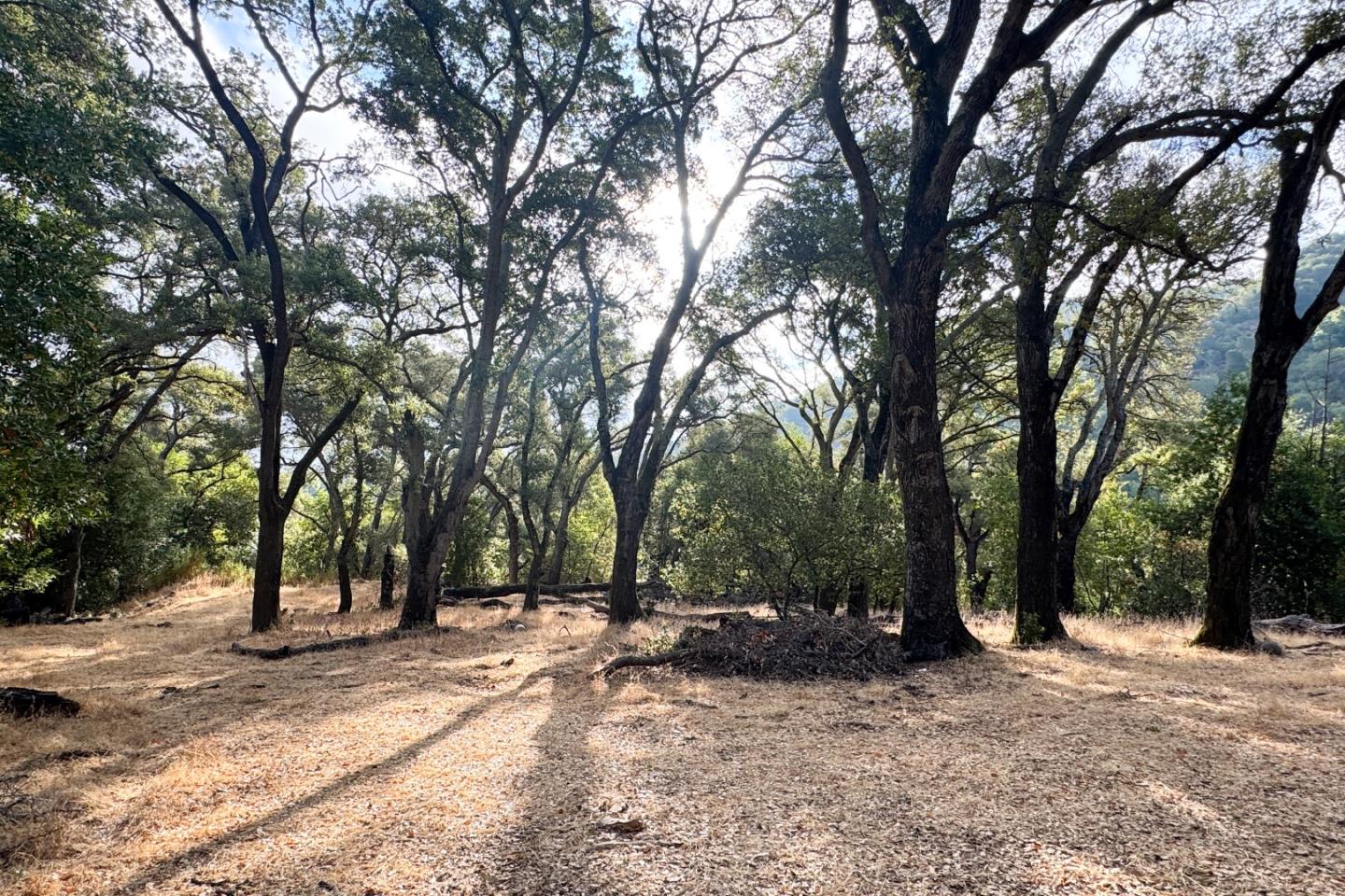 Detail Gallery Image 29 of 37 For 0000 Wagner Rd, Los Gatos,  CA 95032 - – Beds | – Baths