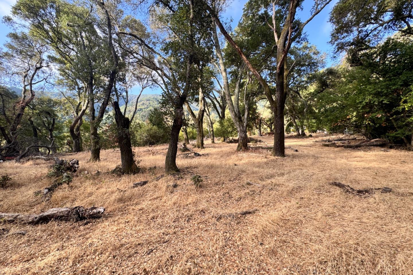 Detail Gallery Image 30 of 37 For 0000 Wagner Rd, Los Gatos,  CA 95032 - – Beds | – Baths