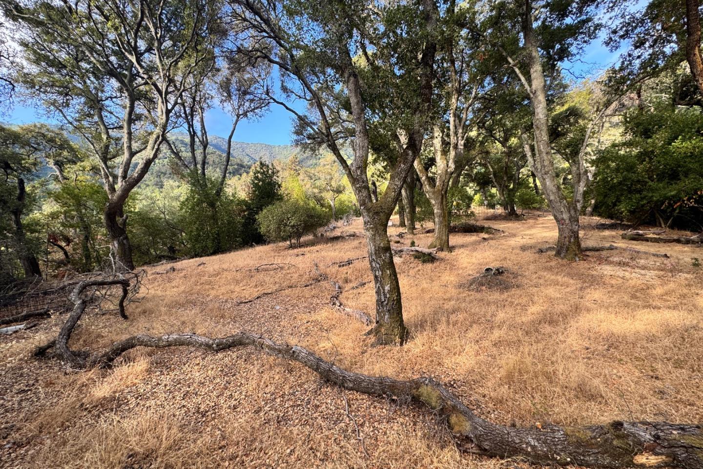 Detail Gallery Image 31 of 37 For 0000 Wagner Rd, Los Gatos,  CA 95032 - – Beds | – Baths