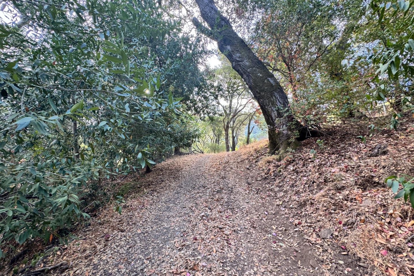 Detail Gallery Image 32 of 37 For 0000 Wagner Rd, Los Gatos,  CA 95032 - – Beds | – Baths